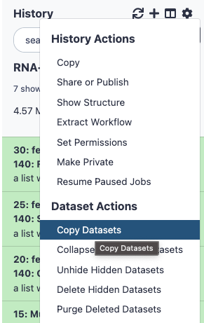 Copying datasets option